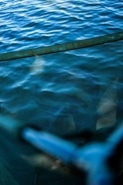 Cygnet - Sniper Landing Net - 2 Piece -Wilde Visserij Winkel 619505 cygnet sniper landing net 15