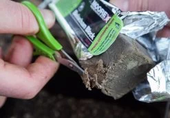 CC Moore - 250g Belechan Block -Wilde Visserij Winkel belachan block in use