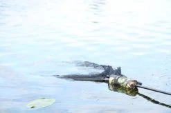 Cult Tackle - DPM Net Float -Wilde Visserij Winkel dpm netfloat 4