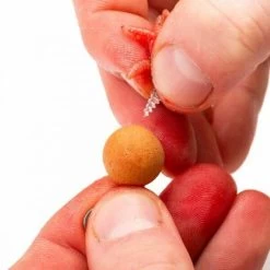 Nash - Maggot Screw -Wilde Visserij Winkel maggotins4.2e16d0ba.fill 600x600 1