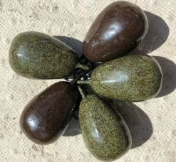 West Country Leads - Round Pear Leads